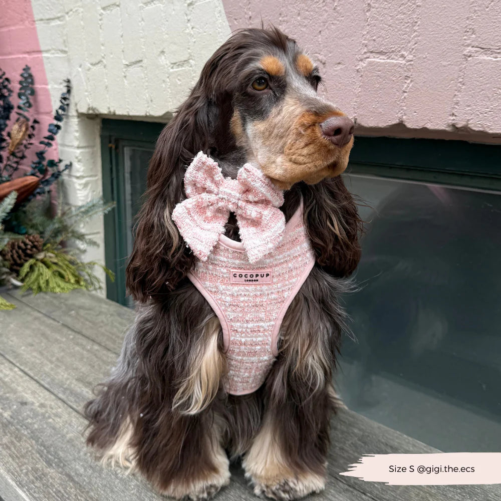 Nastavitelný postroj Cocopup - Tweed Pink