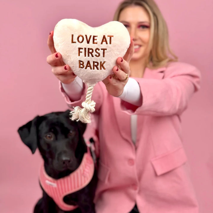 Cocopup hračka Love at first Bark