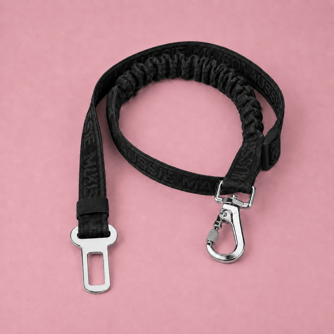 Aussie Maison Bezpečnostní pás pro psa - Black