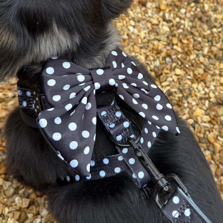 Motýlek Cocopup - Satin Polka Dot Sailor
