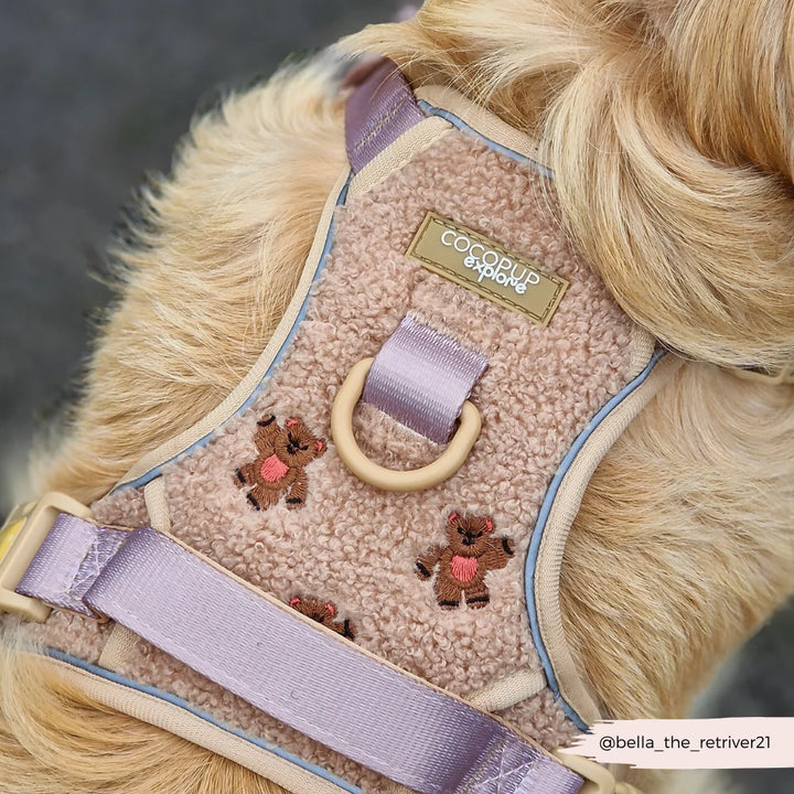 Entdecken Sie das Cocopup Geschirr - Mocha Flower