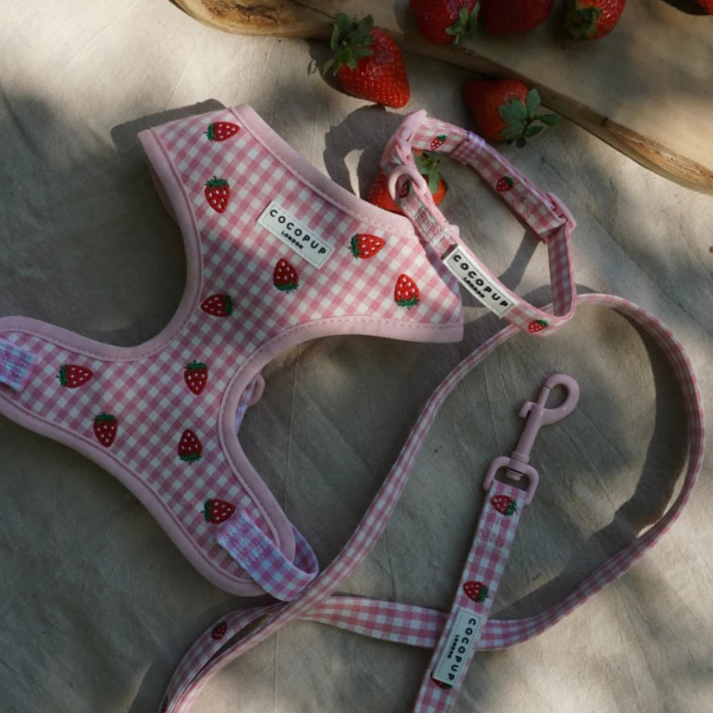 Cocopup Collar - Strawberry Picnic