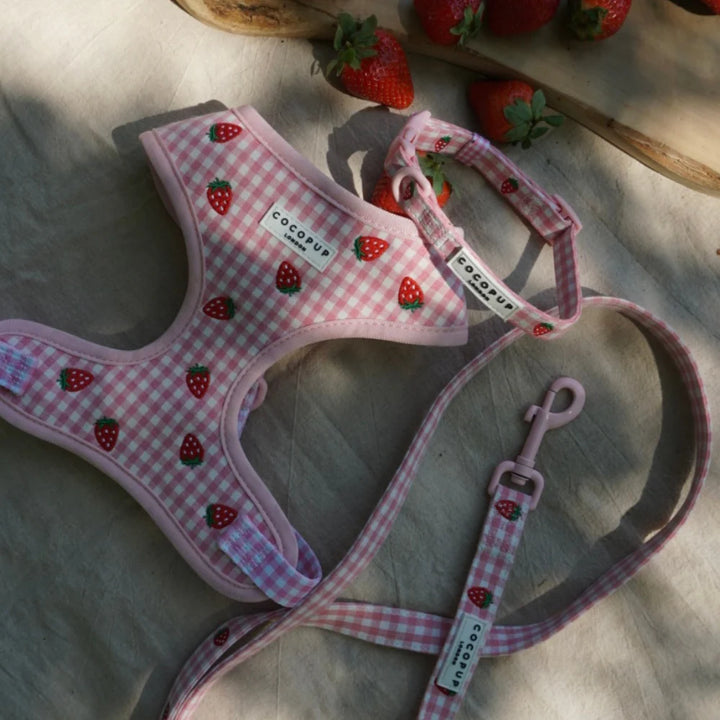 Cocopup Collar - Strawberry Picnic