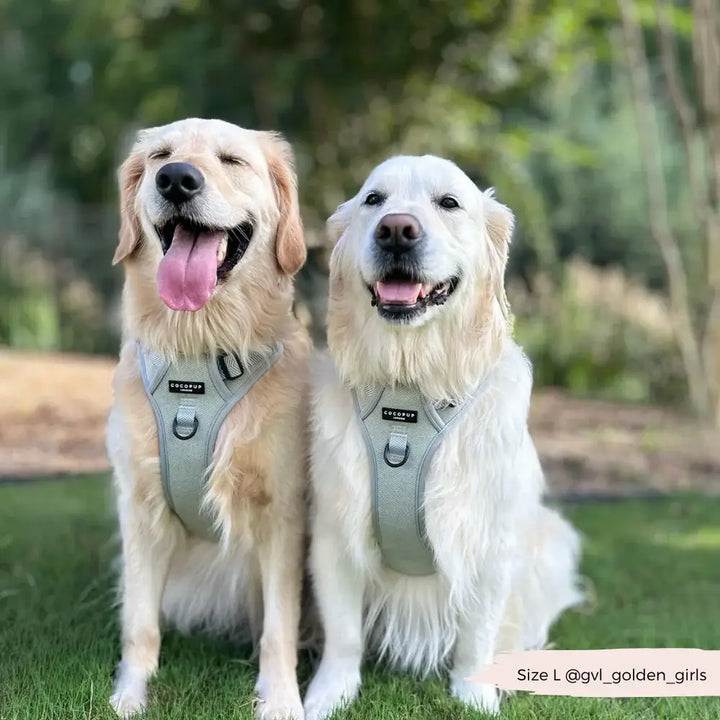 Explore harness Cocopup - Tweed Sage
