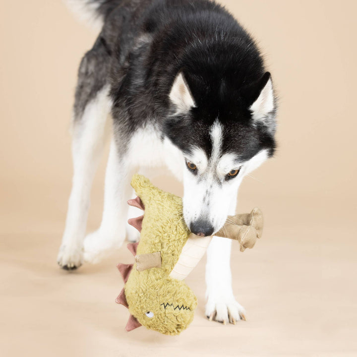 Small Arms, Big Heart – ekologický dinosaurus