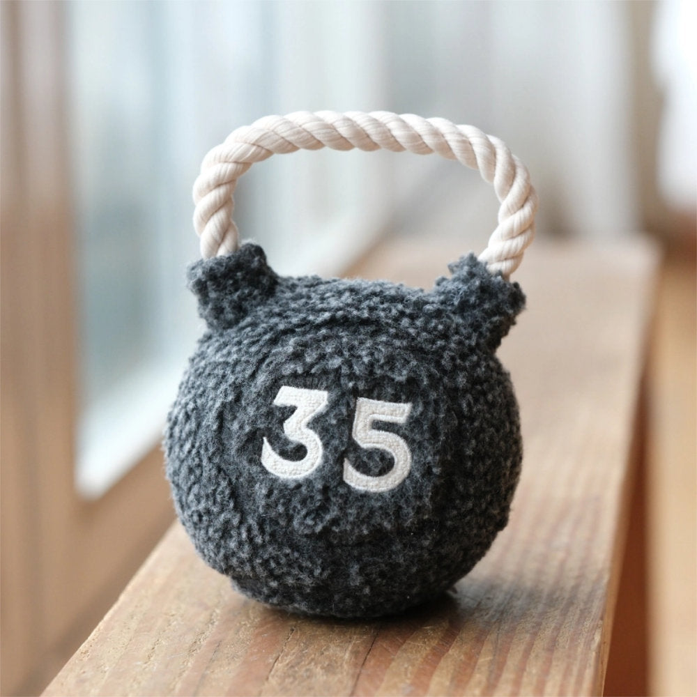 Kettlebell – čmuchací činka