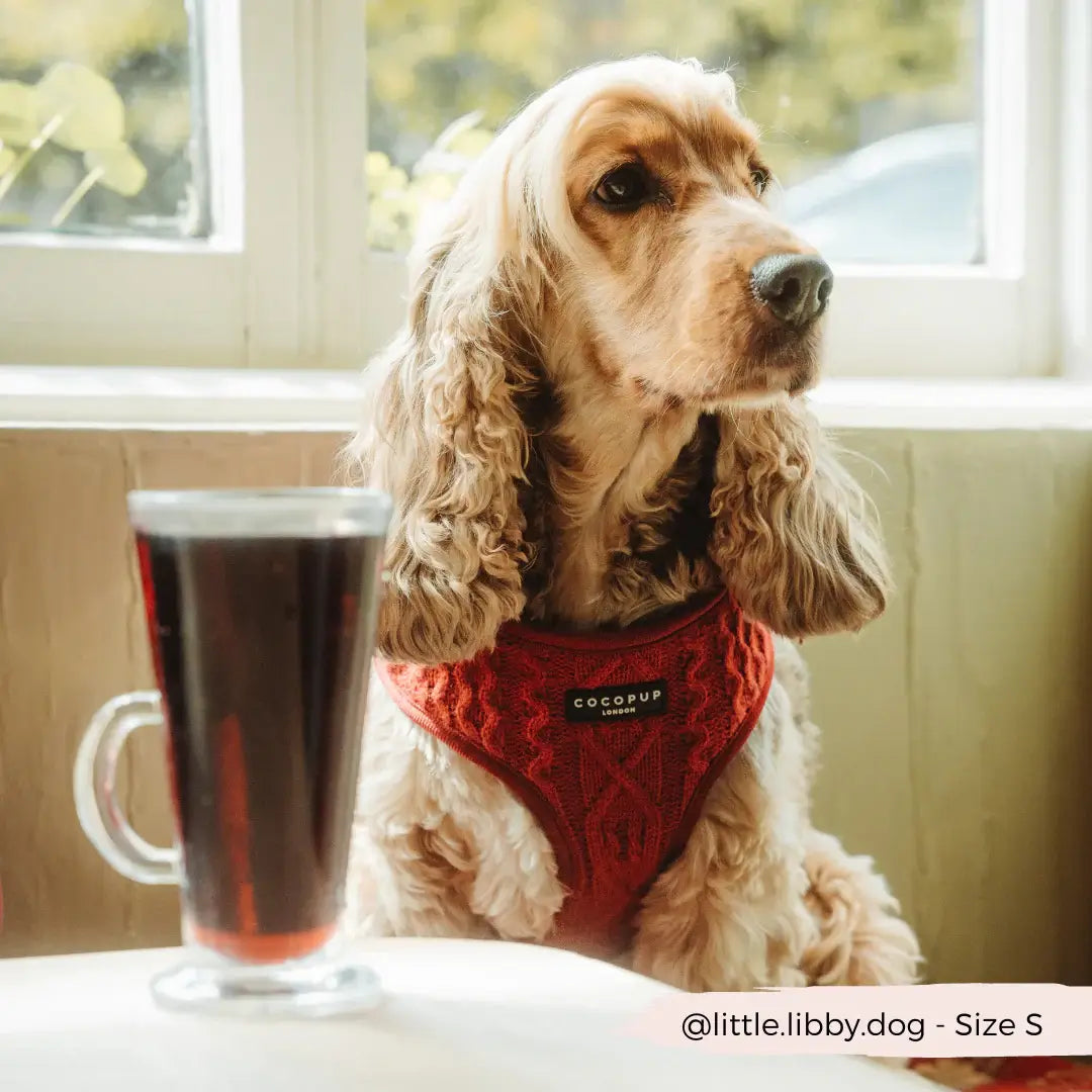 Adjustable Harness Knit Jumper - Mulled Wine