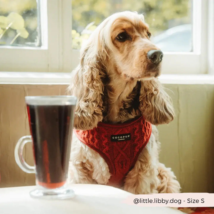 Adjustable Harness Knit Jumper - Mulled Wine