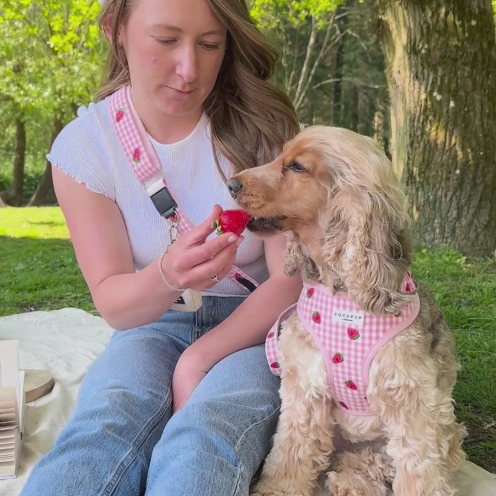 Popruh na pamlskovník CocoPup - Strawberry picnic