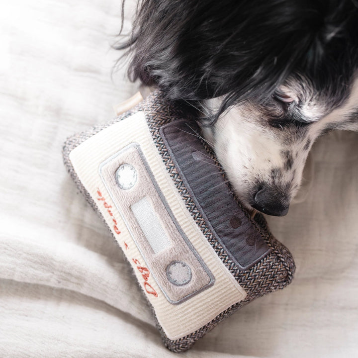 CASSETTE čmuchací kazeta