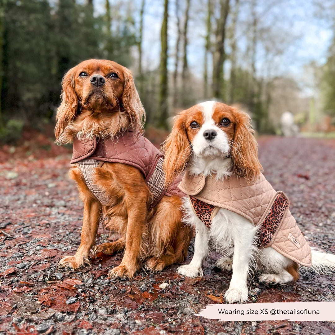 Kabátek Cocopup - Pup Plaid