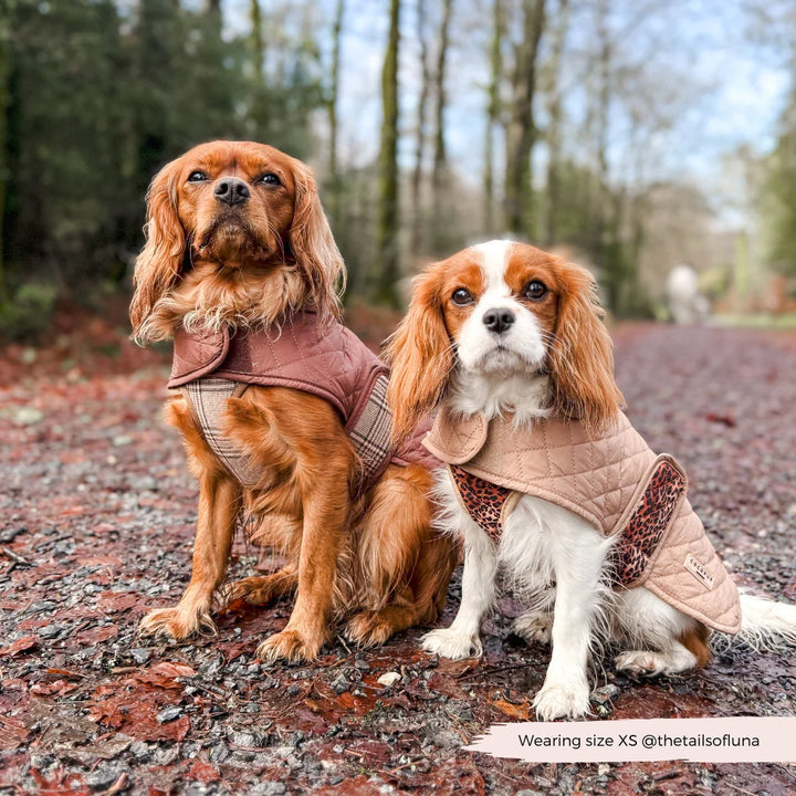 Kabátek Cocopup - Pup Plaid