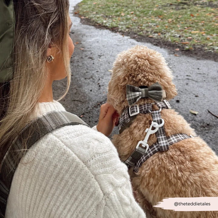 Gurtleine für Leckerlibeutel CocoPup - Pup Plaid
