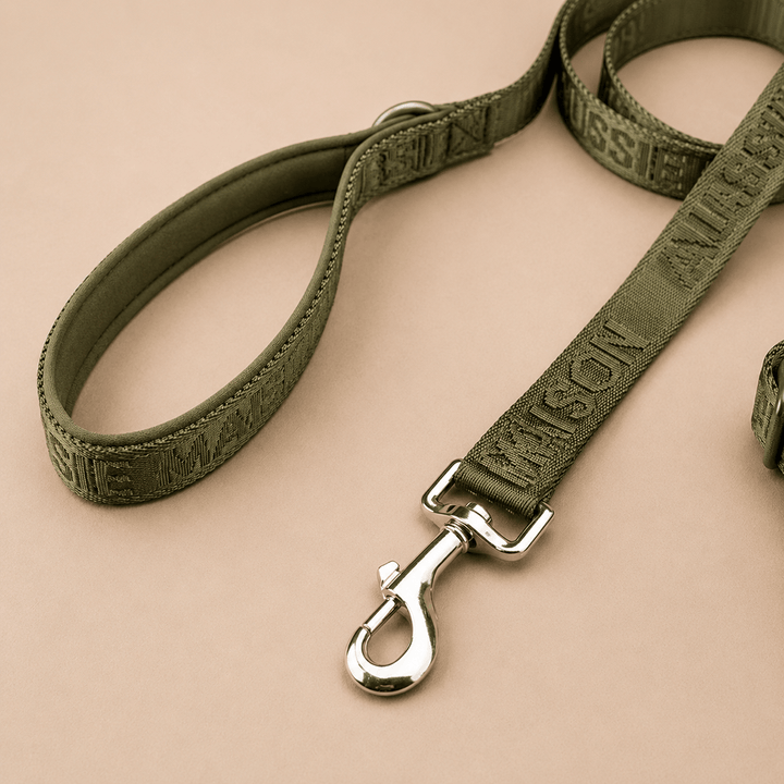 Adventure set Aussie Maison - Khaki – Adventure vodítko - Khaki