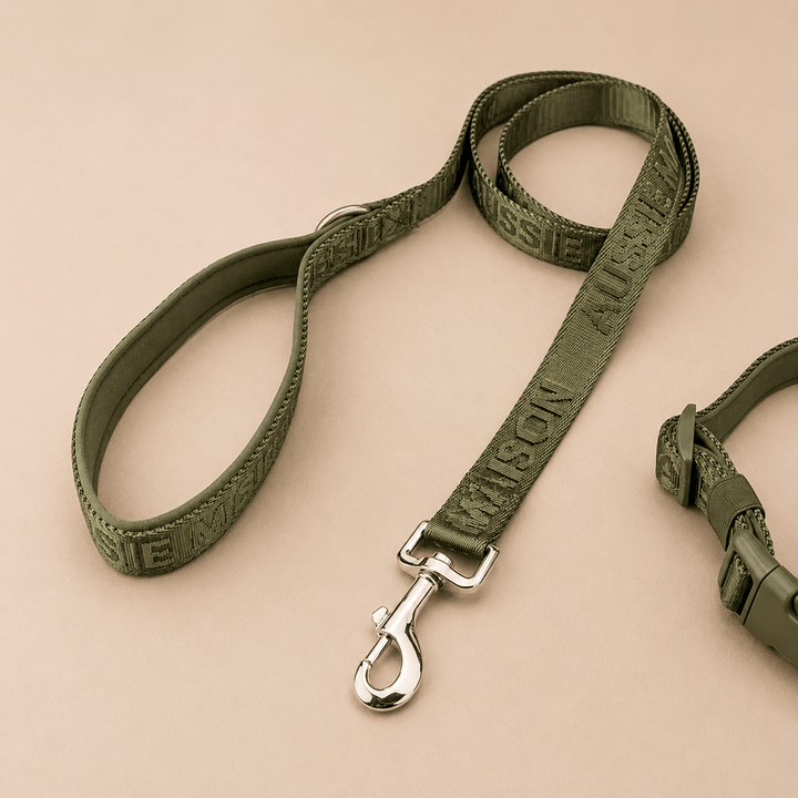 Adventure vodítko - Khaki