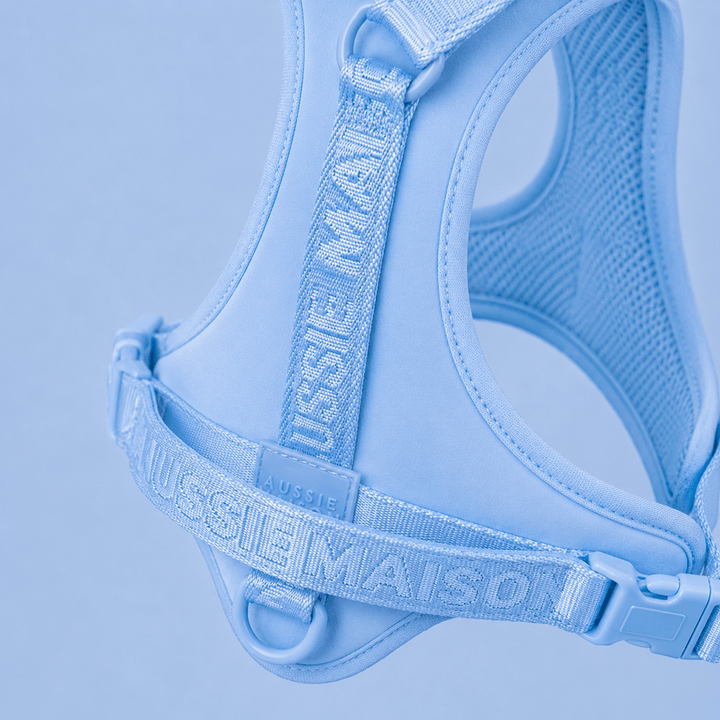 Adventure postroj Baby Blue