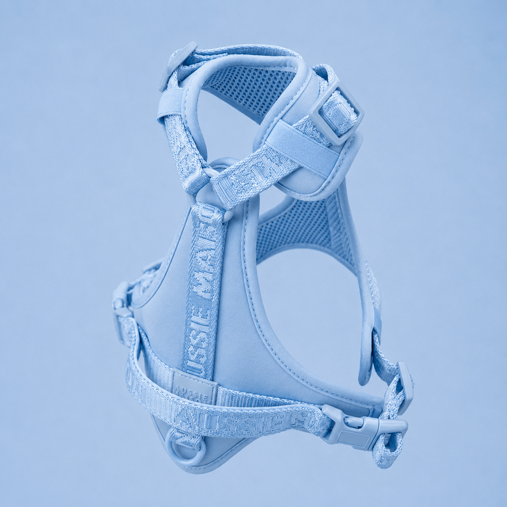 Adventure set Aussie Maison - Baby Blue – Adventure postroj pro psy - Baby Blue