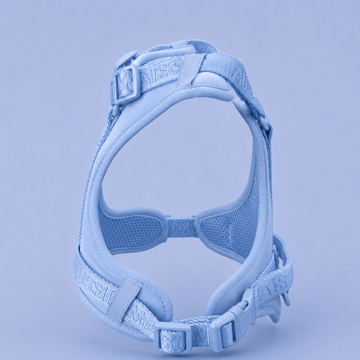 Adventure postroj Baby Blue