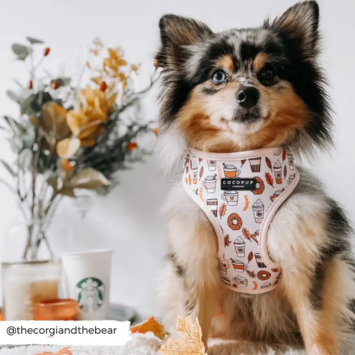 Cocopup Adjustable Harness - Autumn Puppuccino