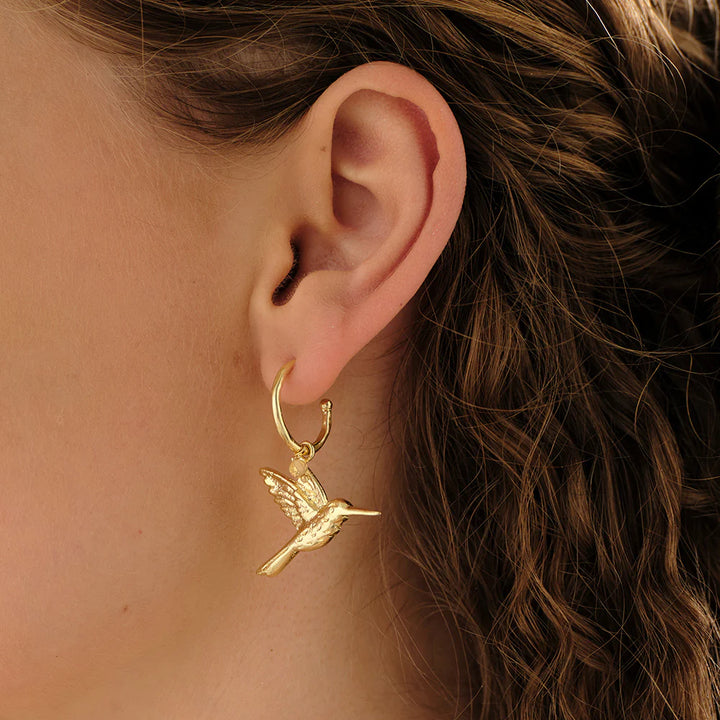 Pozlacené náušnice Rebel Hummingbird – Citrine