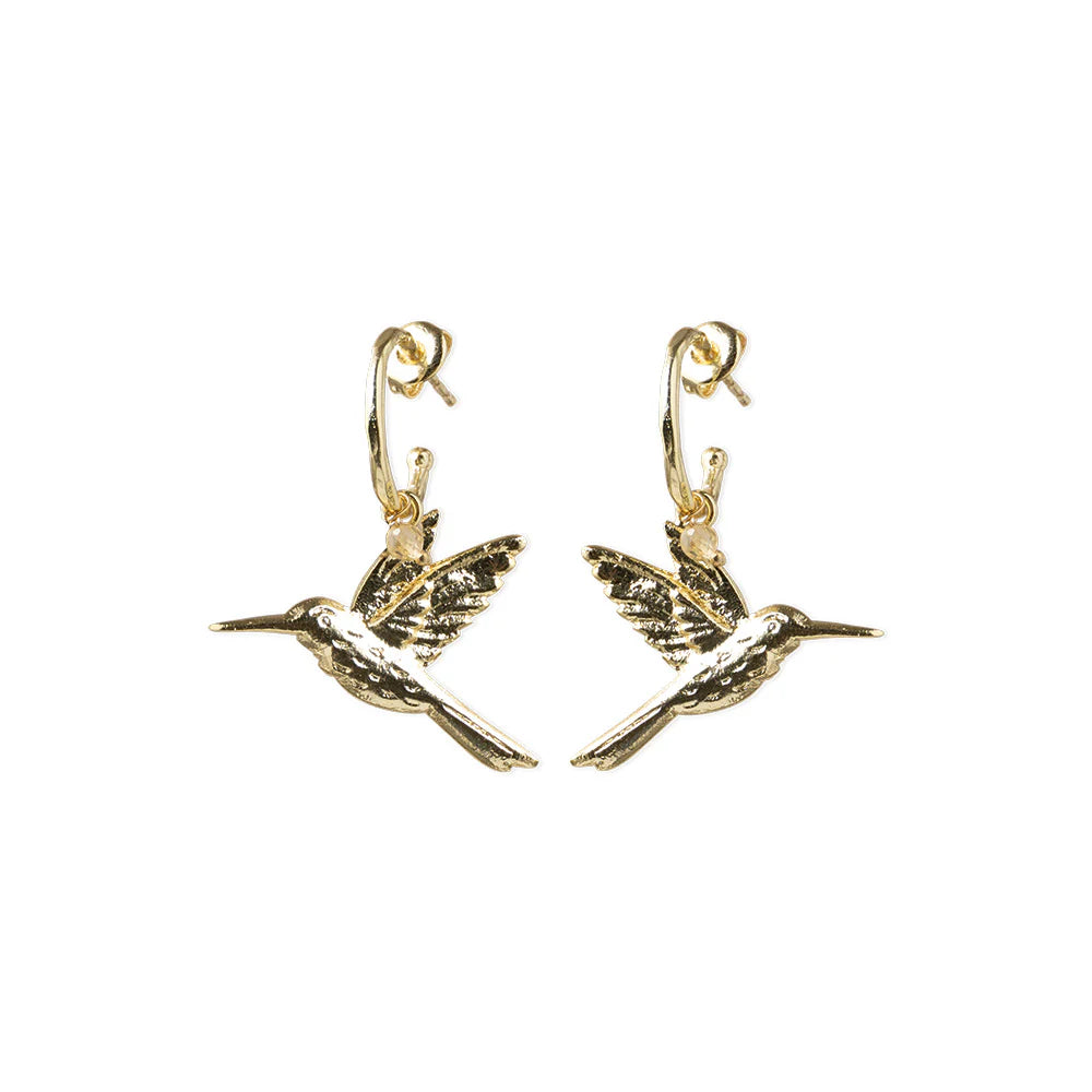 Pozlacené náušnice Rebel Hummingbird – Citrine