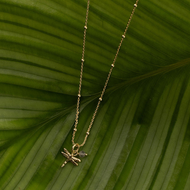 Pozlacený Instinct Náhrdelník – Dragonfly