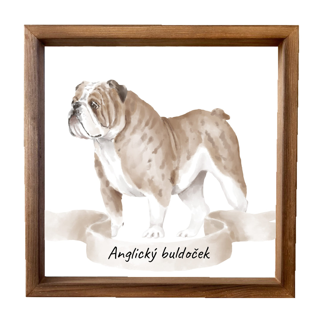 Holzbild 33x33cm – Englische Bulldogge