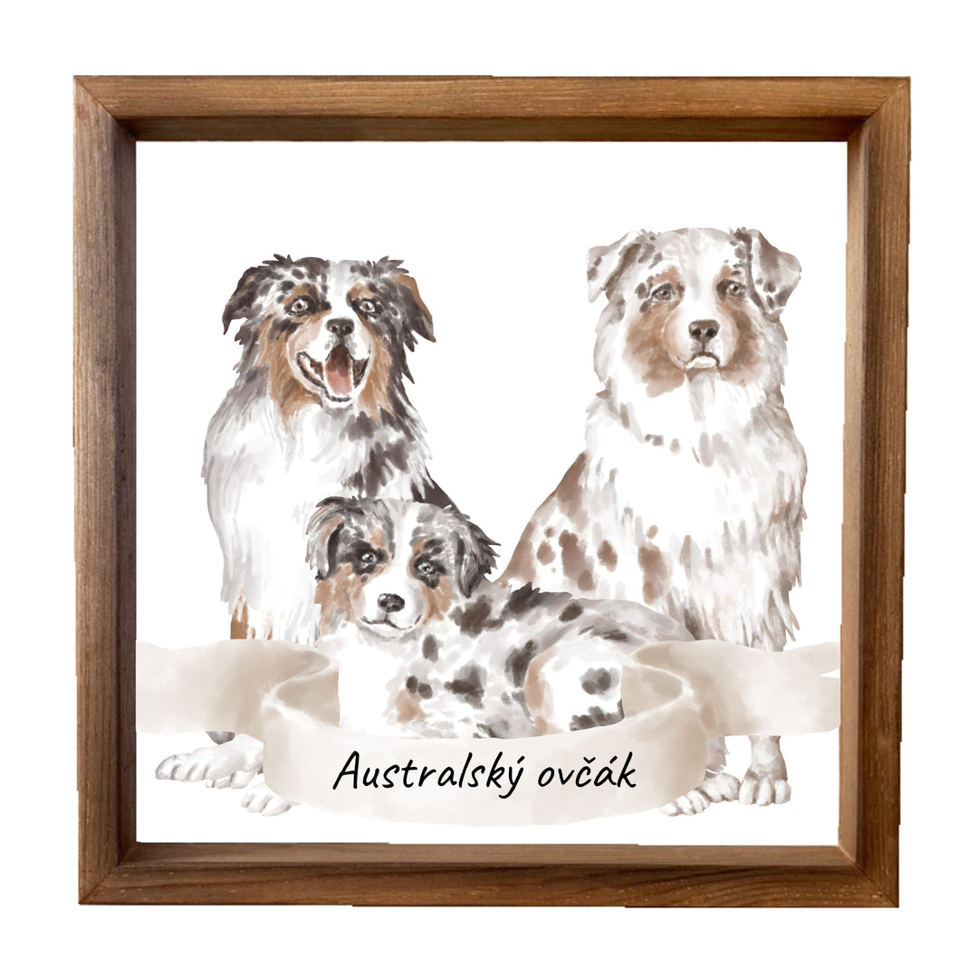 Holzbild 33x33cm – Australian Shepherd