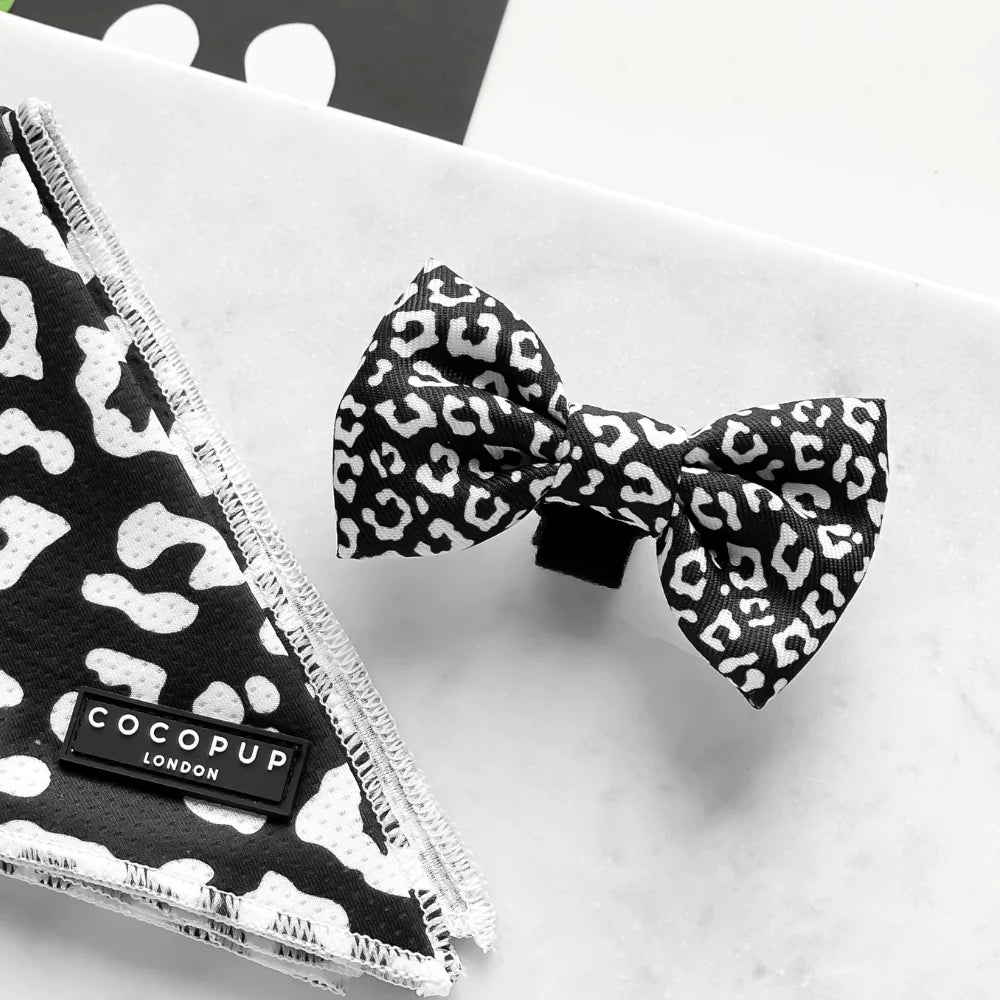 Cocopup Bow Tie - Black Leopard