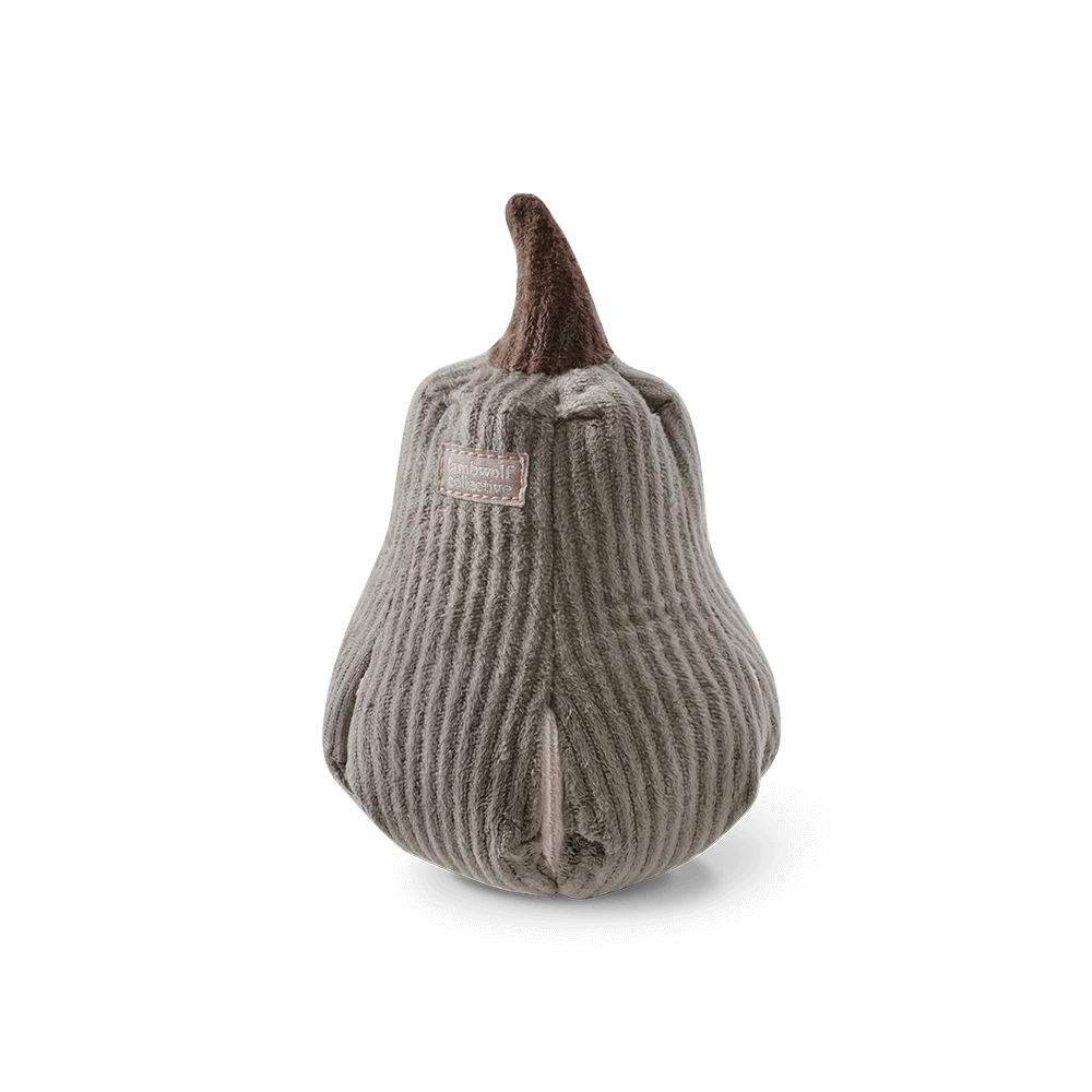 BUTTERNUT – čmuchací dýně