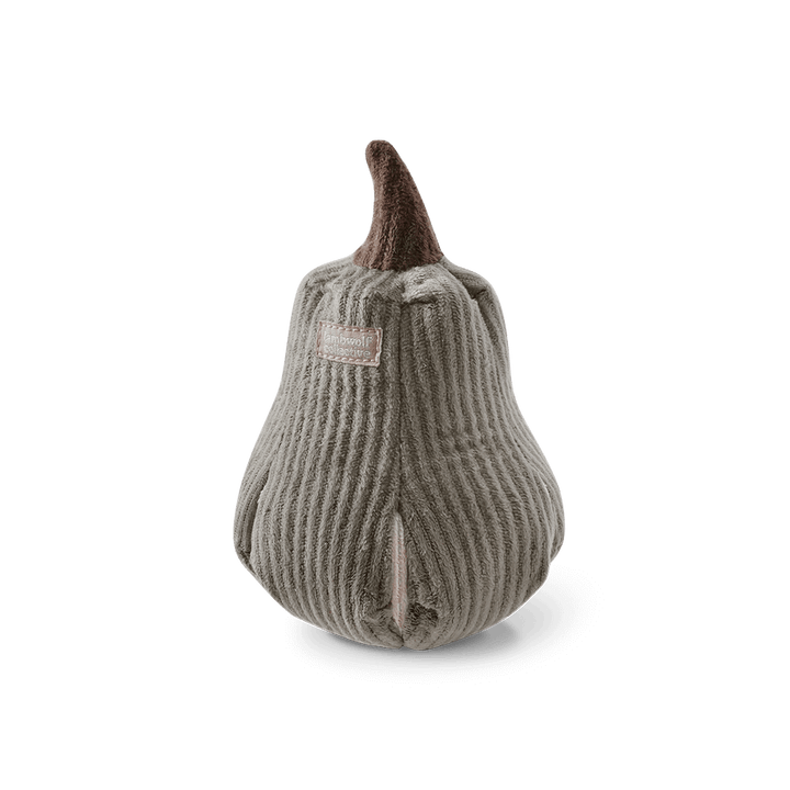 BUTTERNUT – čmuchací dýně
