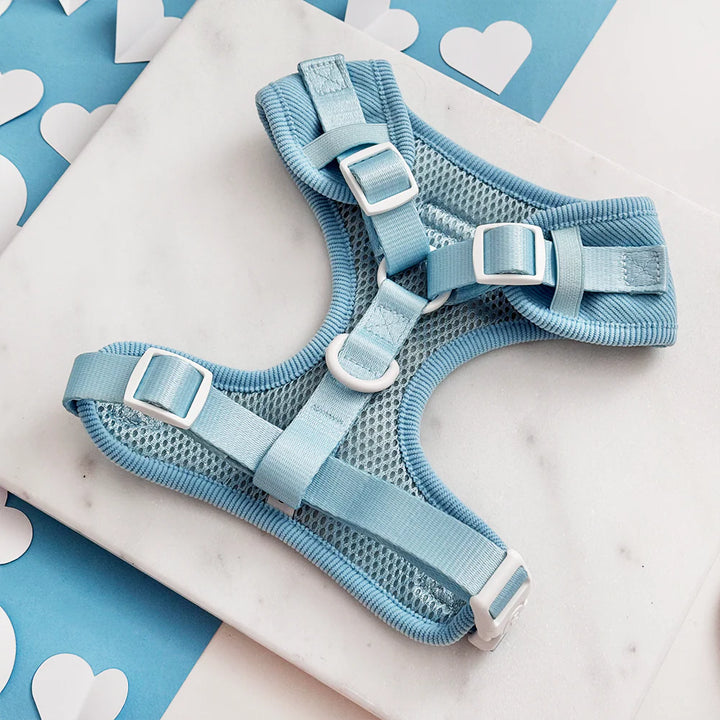 Nastavitelný postroj Cocopup - Blue Heartstrings