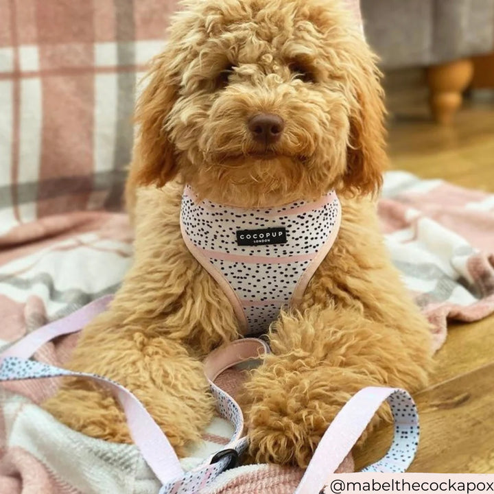Leash Cocopup - Pink Dalmatian