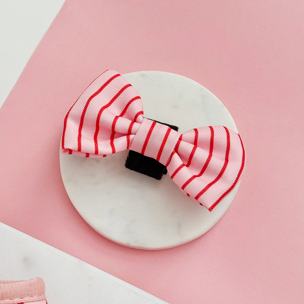 Motýlek Cocopup - Candy Stripe