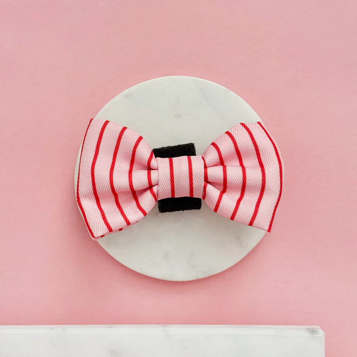Motýlek Cocopup - Candy Stripe