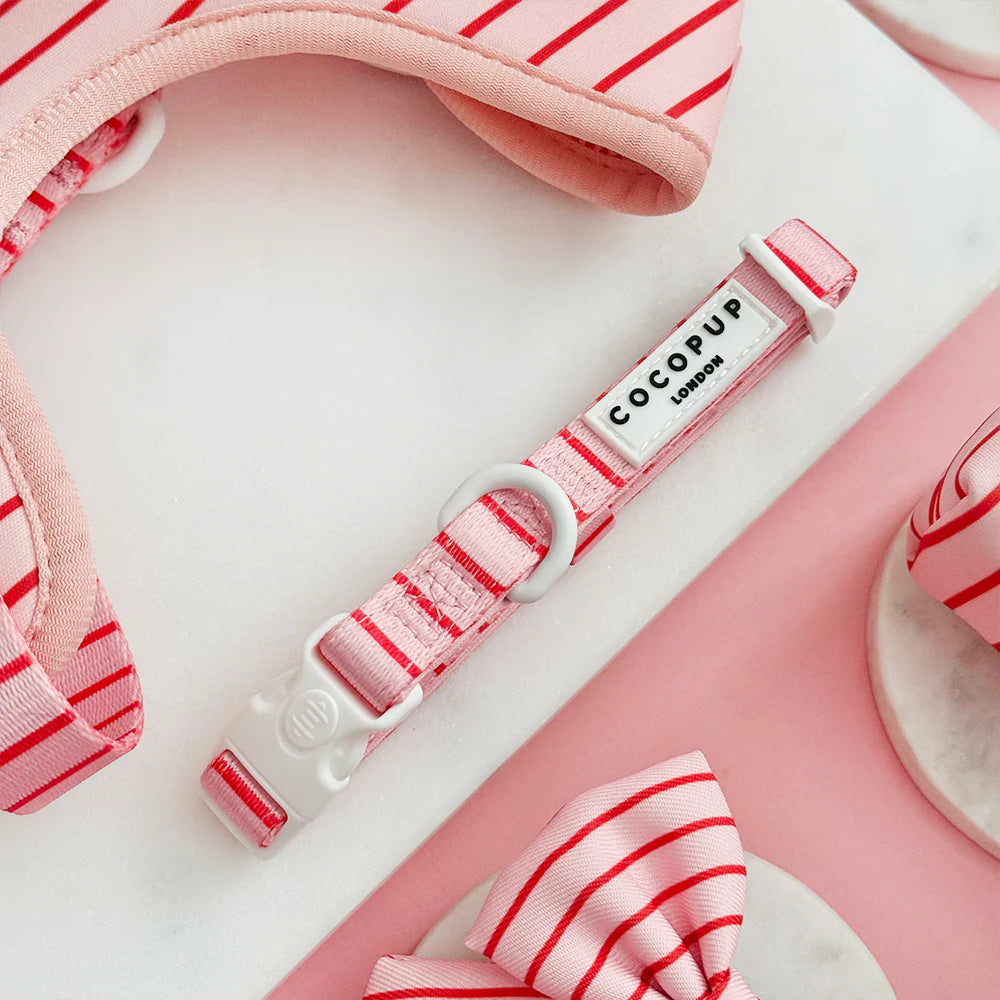 Obojek Cocopup - Candy Stripes