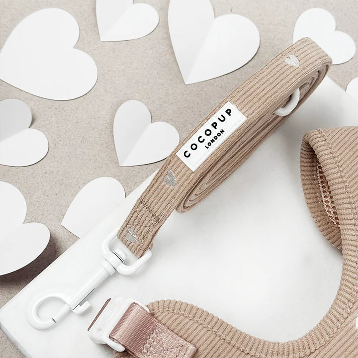 Hundeleine Cocopup - Chai Hearts