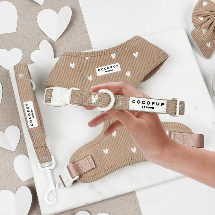 Cocopup Collar - Chai Hearts