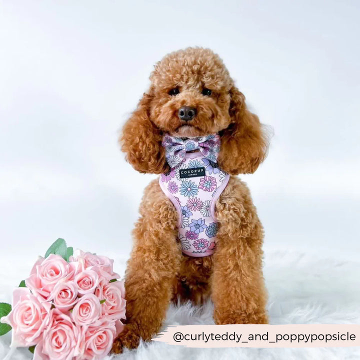 Motýlek Cocopup - Pastel Flowers