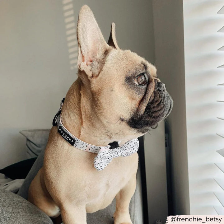 Cocopup Bow Tie - Pink Dalmatian