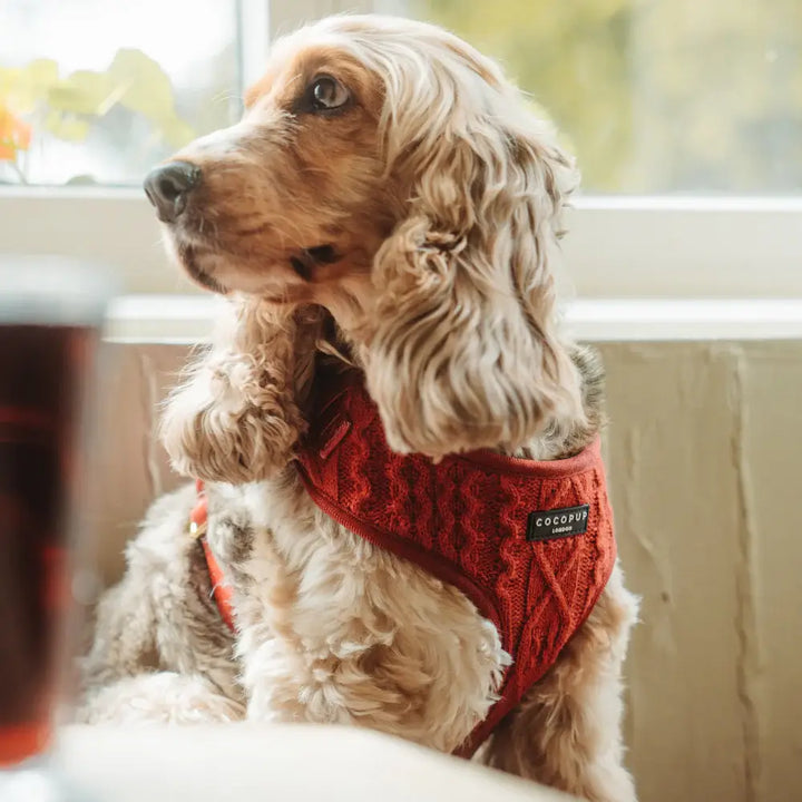 Adjustable Harness Knit Jumper - Mulled Wine