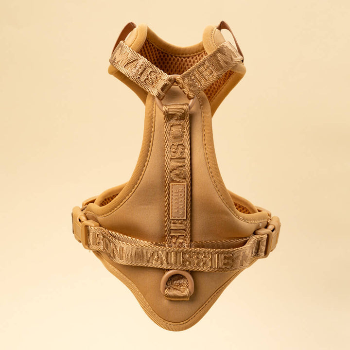 Adventure postroj Caramel