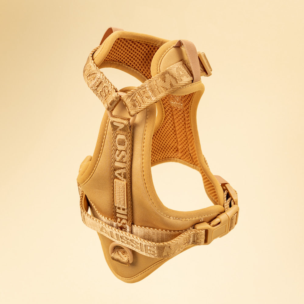 Adventure set Aussie Maison - Caramel – Adventure postroj pro psy - Caramel