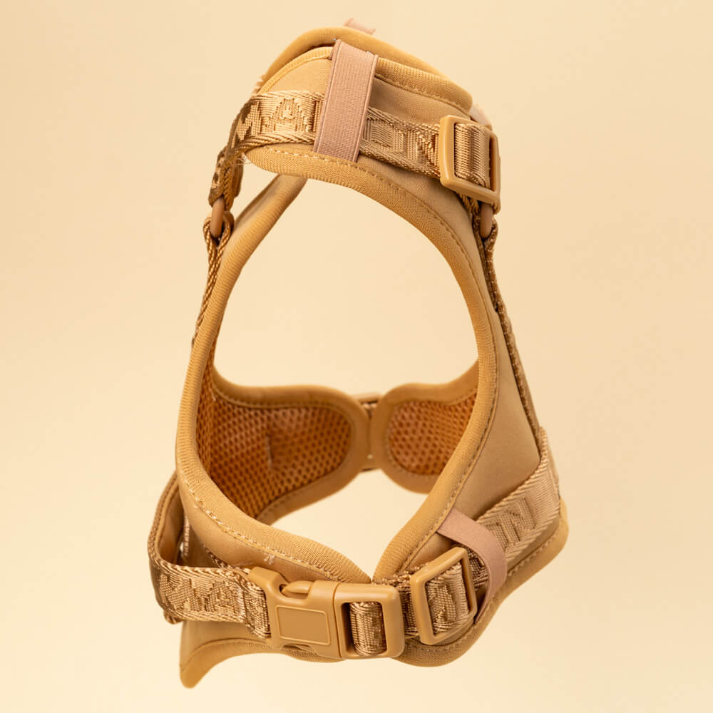 Adventure postroj Caramel