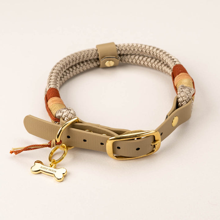 Autumn Comes Dog Collar