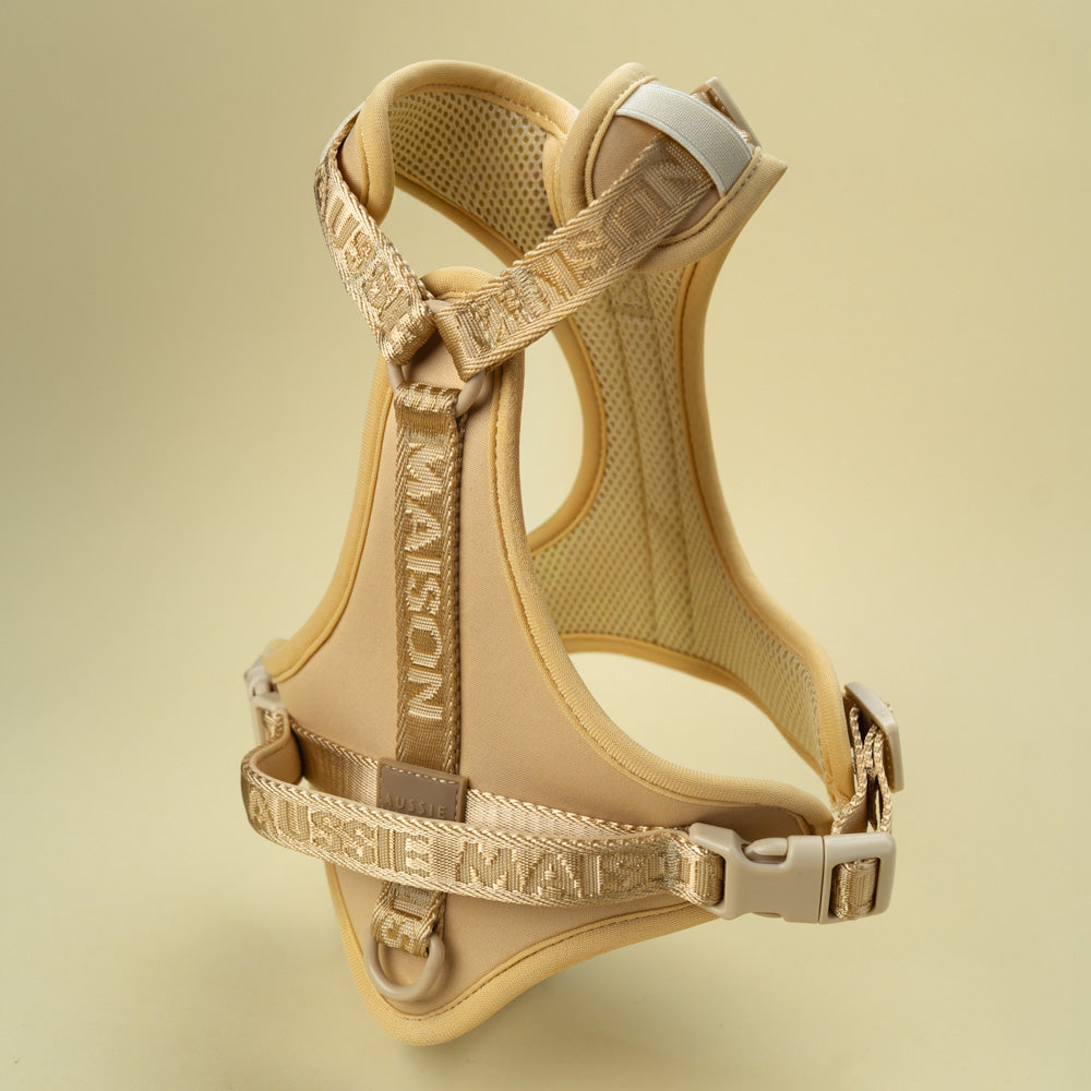 Adventure set Aussie Maison - Blondie – Adventure postroj pro psy - Blondie