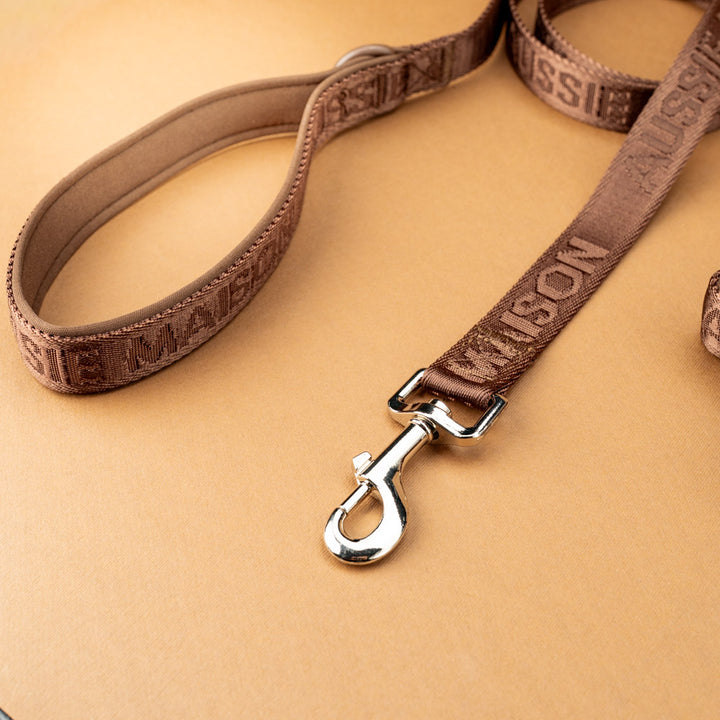 Adventure vodítko - Brownie