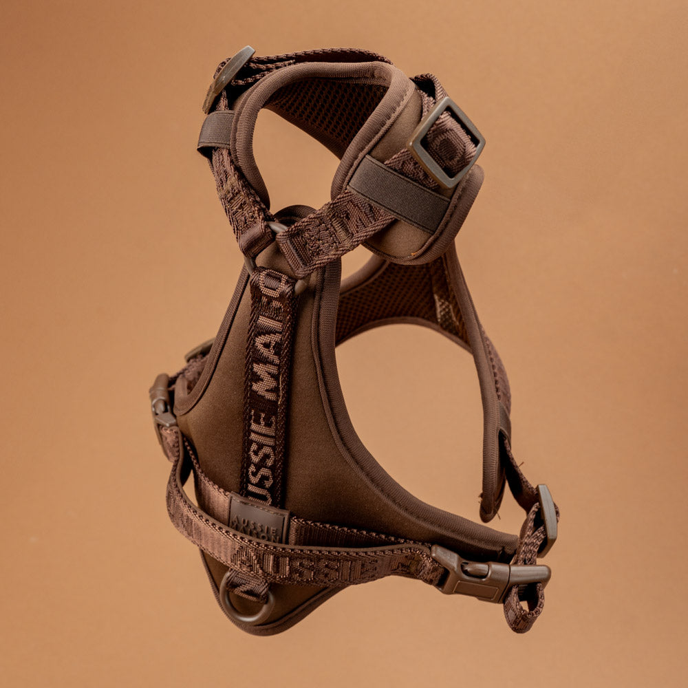 Adventure set Aussie Maison - Brownie – Adventure postroj pro psy - Brownie