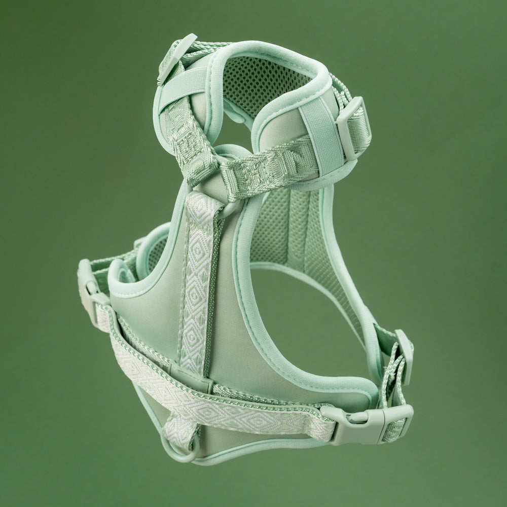 Adventure set Aussie Maison - Sage Green Navajo – Adventure postroj pro psy - Sage Green Navajo