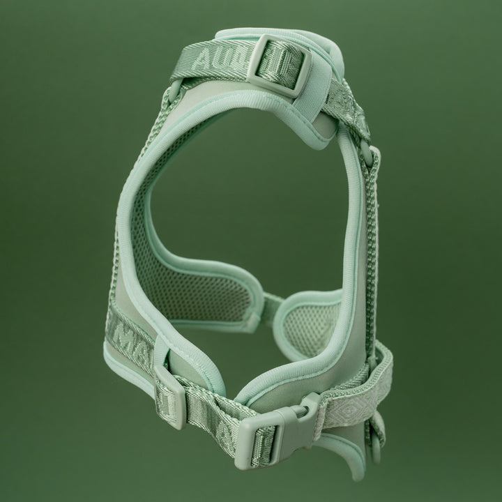 Adventure postroj Sage Green Navajo
